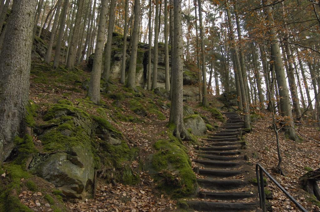 Hotel Belle Vue Vianden Zewnętrze zdjęcie